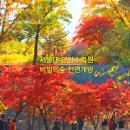 석수하우스스토리 | 서울대 안양수목원 입장료 예약 개방시간 가는법 주차장 화장실 위치 경기도 가을 단풍명소