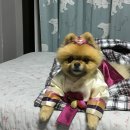 (주)에이플러스비티 | 내 게으름이 멈추지 않는 탓일까 ㅜ.ㅜ