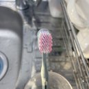 컴플리트 리페어 | 센소다인 치약 멀티케어 100g 시린이 증상 완화 구취제거 후기