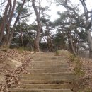 수림장 이미지