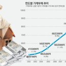 연일장식