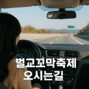 벌교천변길1 이미지