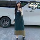 덴 쇼핑하우