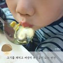 송화 농장 | 감동적인 버섯의 맛 더힐링팜 송화 버섯