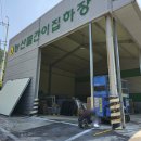 대산농업협동조합부항지점 네이버블로그