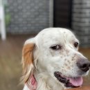 광령초등학교 이미지