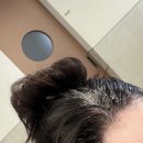 다나침 | 명동미용실 추천ㅣ준오헤어 명동스트리트점 다나디자이너 스케일링 &amp; 커트 후기