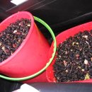 송정농장 이미지