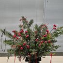 지에스25송내행복점 | 부천 송내 데이트코스 추천 스튜디오 토록 원데이클래스 겨울소재 화병꽂이