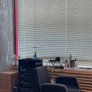 하쿠나마타타헤어 이미지