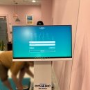 필라테스A반 | 잠실새내 필라테스 골반교정 전문 피지오필라테스 후기