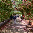 정관 구목정공원 이미지