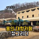 망고&체리 애견샵 | 정그리다 | 애견운동장과 정원이있는 용인대형카페 솔직후기