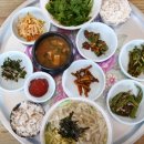 UR(문경시)-[상무로]-상-15 | 18일 [식객 허영만의 백반기행] 331회 진세연의 문경 밥상 ‘보리밥, 손칼국수, 돼지두루치기’ 맛집 소개