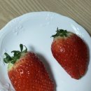 장희농장 이미지