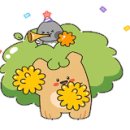 용인대 태권 Fighting 이미지