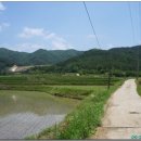 괘릉리할머니 이미지