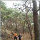 용인산우회 2013년 3월31일 경남산청 왕산,필봉산 산행 이미지