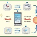 주정차단속-7 이미지