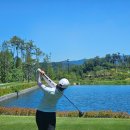 월드 C.C 이미지