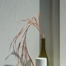모던(Modern) 이미지