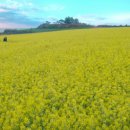 은명농장 이미지