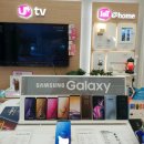 (주)아미 이미지