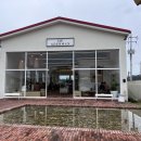 중앙로+진각로 이미지