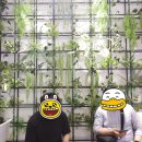 베라타오 이미지