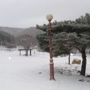 용현자연휴양림 이미지