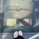 대구선아양공원 이미지