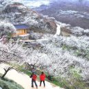 그곳에가고싶다 이미지