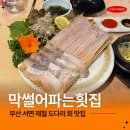 NR-7[중앙대로]-상-5 | 서면 횟집 추천 막썰어파는횟집 봄도다리 세꼬시 포 반반 내돈내산