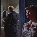 양철지붕위의고양이 이미지