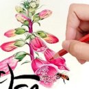 (야간)데생과스케치 이미지