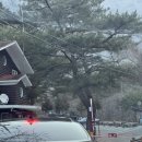 월산축산 이미지