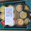 산골복숭아농장 | 순창 산골농장 설숭아를 드디어 맛봄~~(겨울 복숭아)