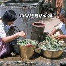 1968년(안양) 그리운 그시절 이미지