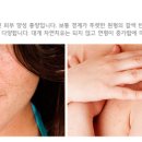 닥터에스의원 이미지