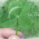 행운에어컨
