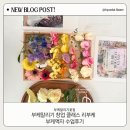 [12/13] 프리저브드 플라워 하바리움 - 원데이 클래스 | 강원도 부케말리기 창업반 수업 부케액자 고체하바리움 원데이수업후기