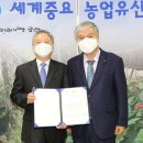 금산인삼약초 연합뉴스