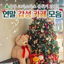 카페리리 이미지