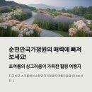 순천만국가정원 방문후기 🌿 지금이 딱! 부모님과 함께한 힐링 여행 추천