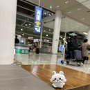 550031 | 일본 여행 1일차 / 항공 예약, 환전, 라피트, 택시 예약