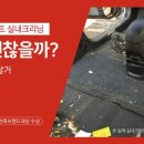 로얄세차