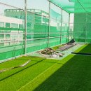 박사 K 태권도장 이미지