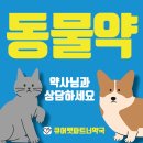 큐어벳 이미지