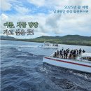 남태평양 | 괌 돌핀크루즈 후기｜스노클링·낚시·참치회까지 즐긴 남태평양 투어