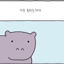 하마수입 이미지